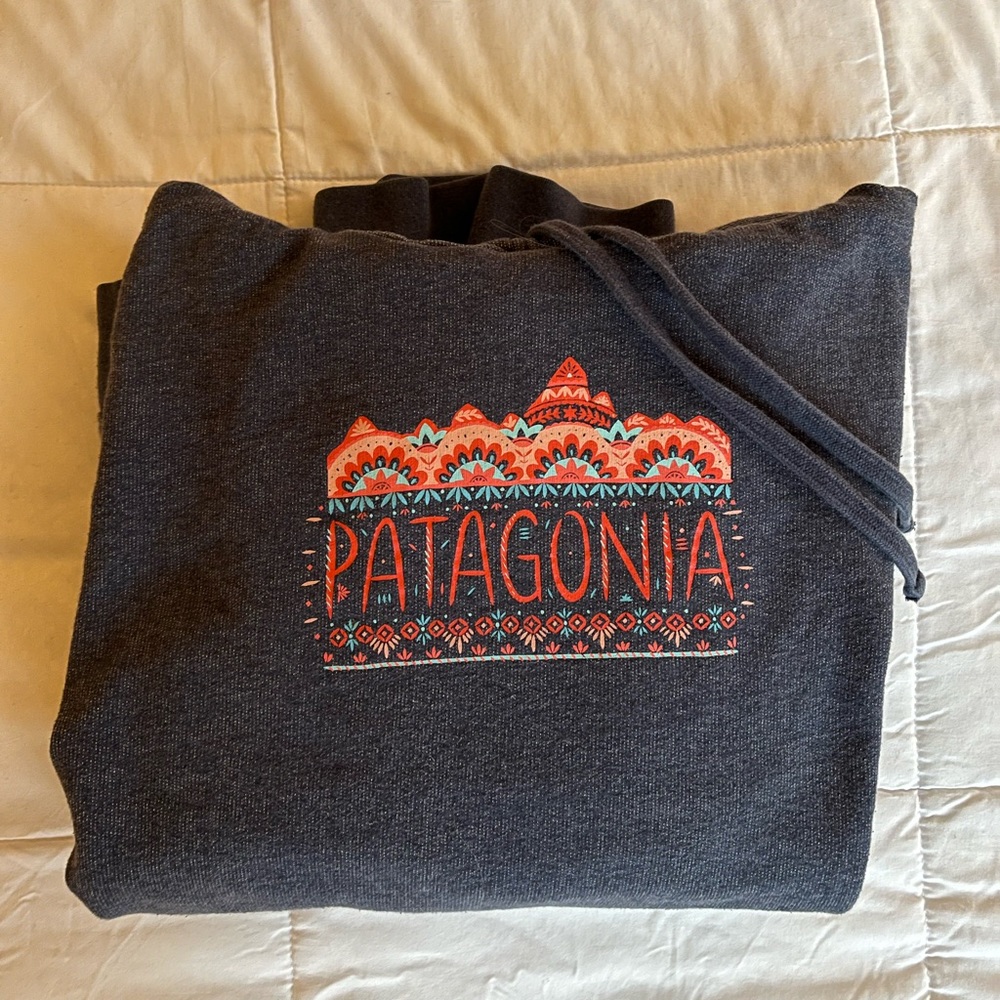 Vintage Patagonia Hoodie